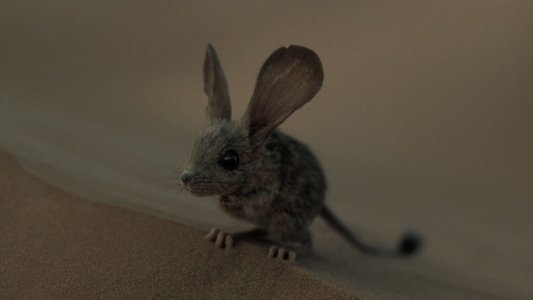 Dune