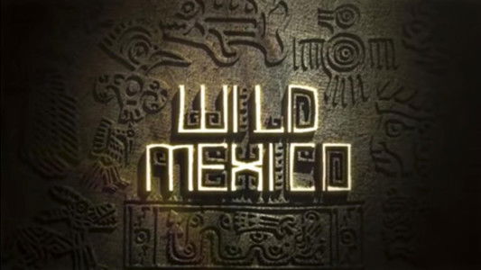 Wild Mexico