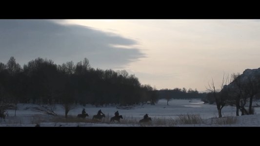 ТНГРИ