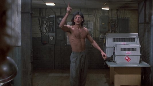 The Fly