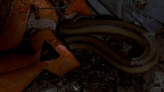 Halloween III: Season of the Witch