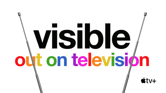 Visible: Out on Television