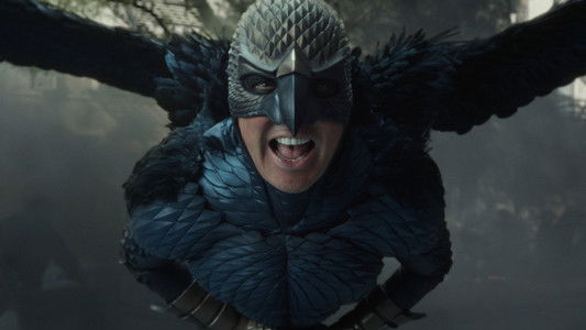 Birdman or (The Unexpected Virtue of Ignorance)