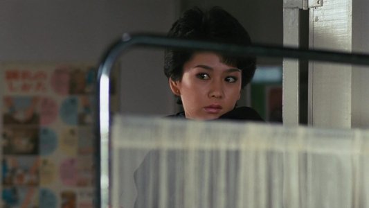 女猫