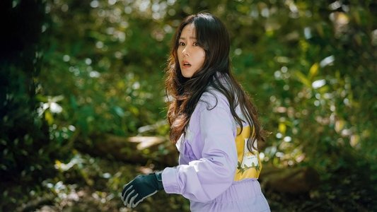 사랑의 불시착