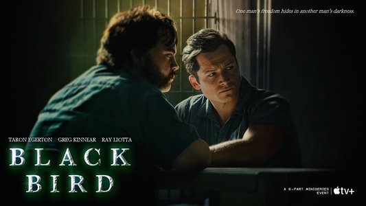 Black Bird