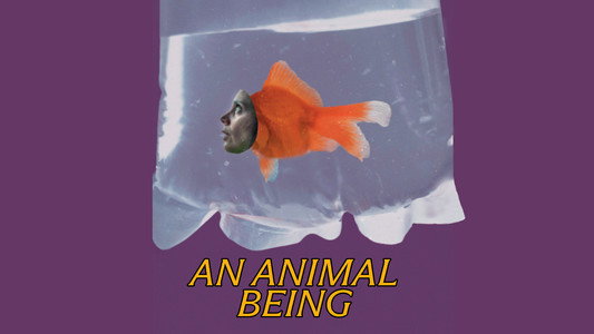An Animal Being