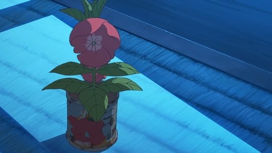 ホウセンカ