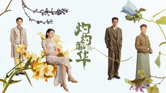 灼灼韶华