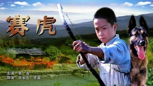 赛虎