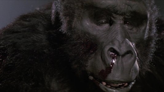 King Kong Lives