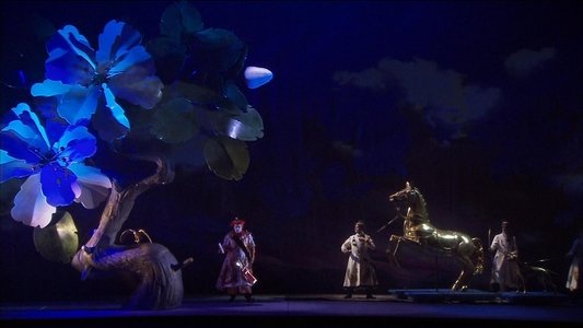 Die Frau ohne Schatten