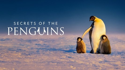 Secrets of the Penguins