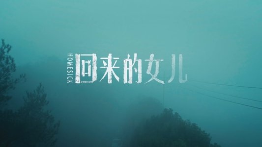 回来的女儿