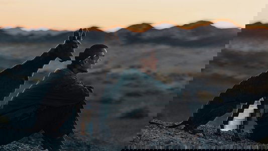 狗陣