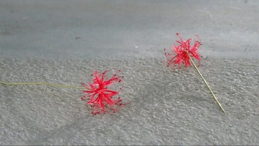 らしゃめんお万　彼岸花は散った