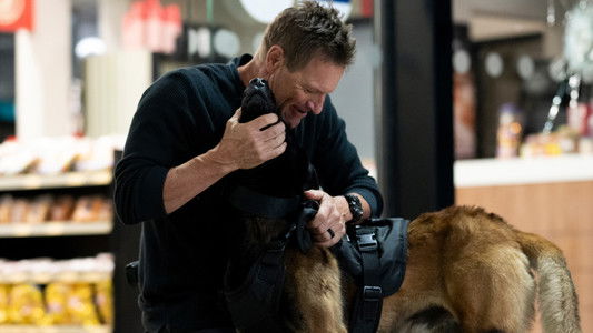 Muzzle: City of Wolves