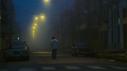 春光乍洩