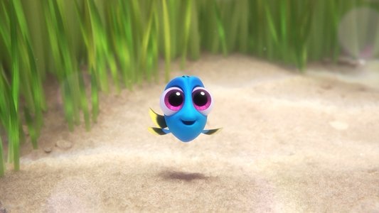 Finding Dory