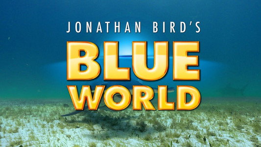 Jonathan Bird's Blue World