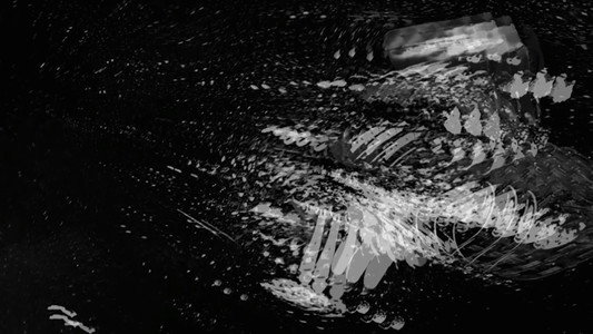 Birth-STATE; 0808