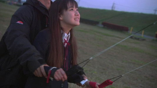 リリイ・シュシュのすべて