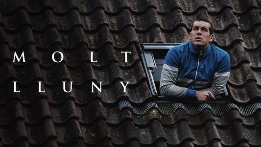 Molt lluny