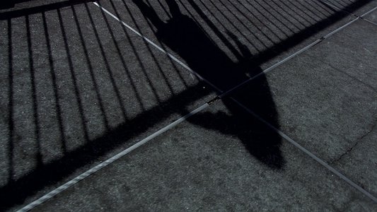 リリイ・シュシュのすべて