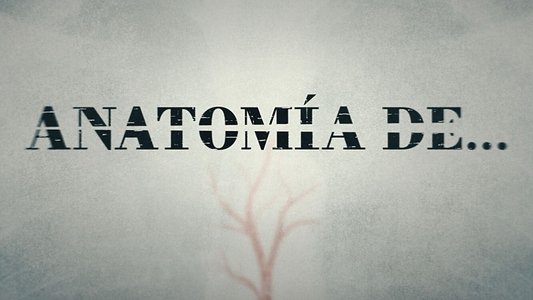 Anatomía de...