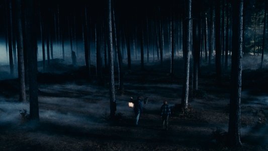 Harry Potter and the Chamber of Secrets
