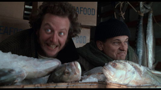 Home Alone 2: Lost in New York