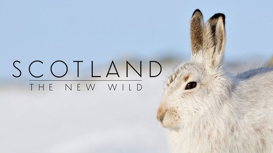 Scotland: The New Wild