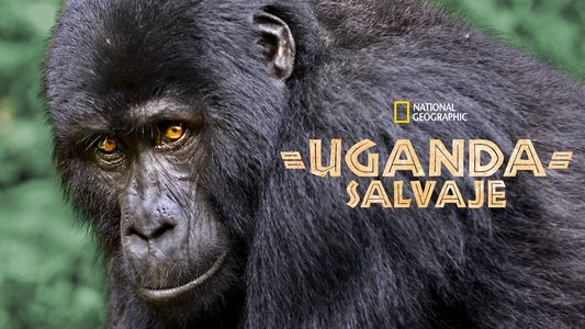 Wild Uganda