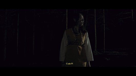 Aerindor: The silent sacrifice