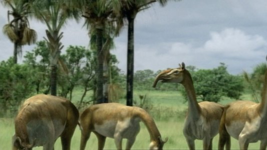 Walking with Beasts