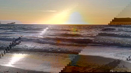 Tsunami