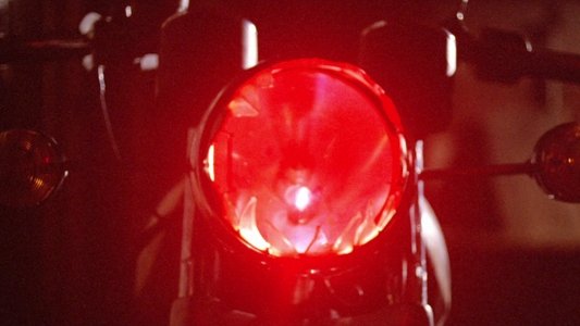 I Bought a Vampire Motorcycle