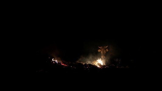 Luces del desierto