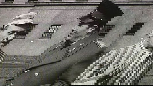 Özvegy menyasszonyok