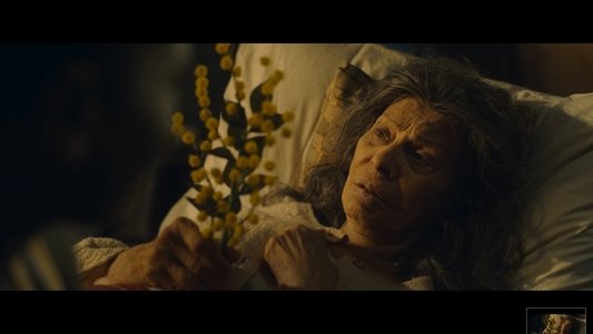 La vita davanti a sé