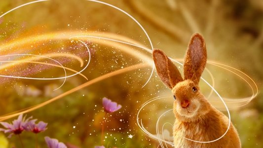 The Velveteen Rabbit