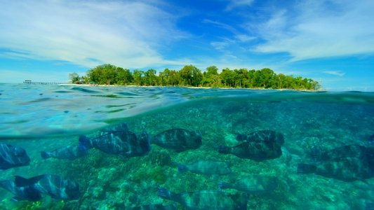 Earth's Great Rivers II