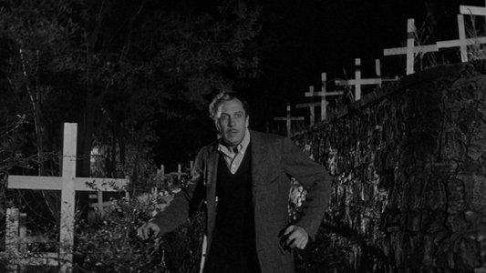 The Last Man on Earth