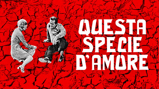Questa specie d'amore