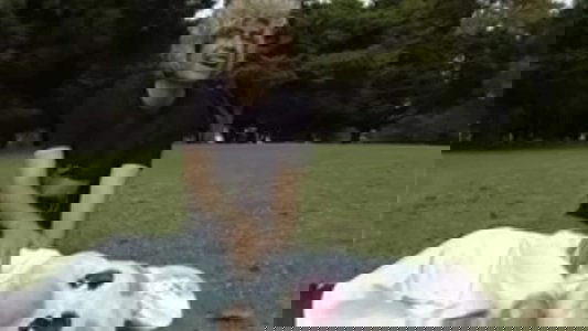 Falling Leaves
