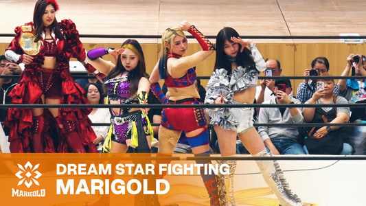 Marigold Shining Attack 2026 ~ Day 12