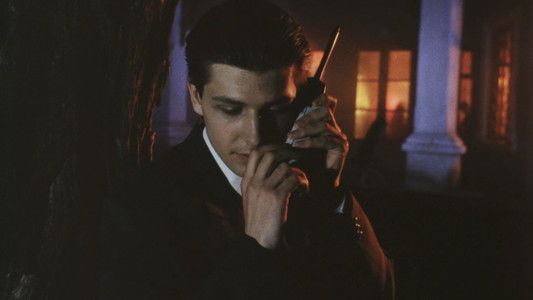 Дикая любовь