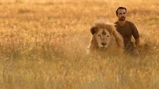 The Lion Ranger
