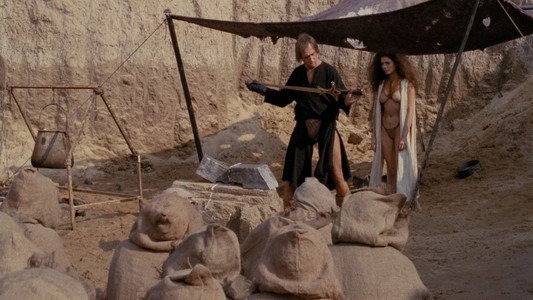 The Warrior and the Sorceress