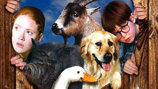 Pets